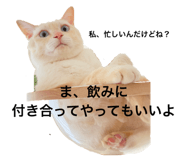 662160114