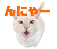 662160119
