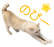 662160120