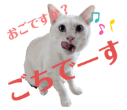 662160123