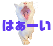 662160124