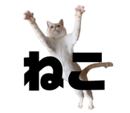 662160125