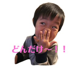 66217373