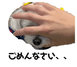 662186898