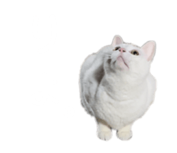 662187448