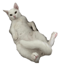 662187450