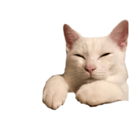 662187451