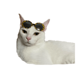 662187455