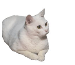 662187456