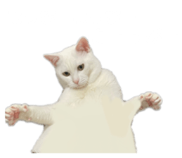 662187469
