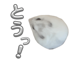 662187671