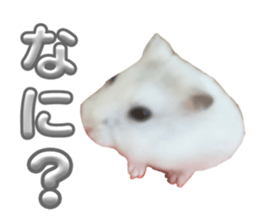 662187672