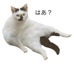 662187899