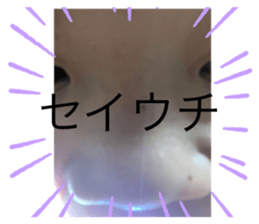 662253236