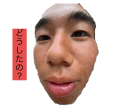 662253951