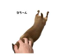 662278476