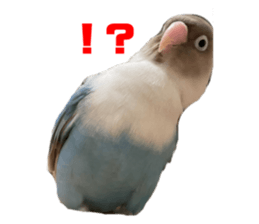 662278510