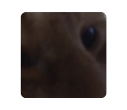 662284805