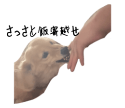 662297261