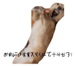 662297266