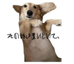 662297276