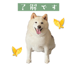 662300632