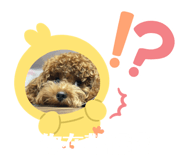 662325336