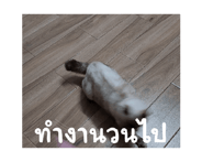 662326972