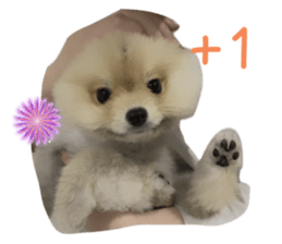 662337338