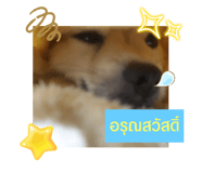 662354428