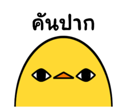 662355056