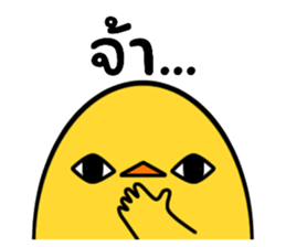 662355082