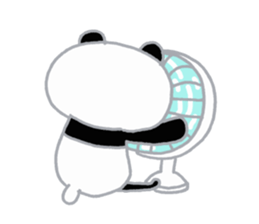 66235602