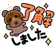 662399495