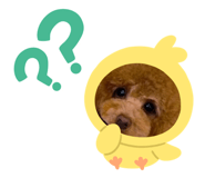 662399504