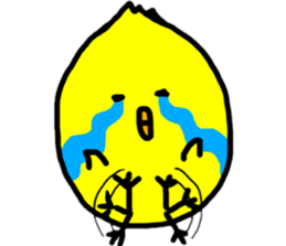 662406