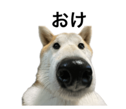 662409667