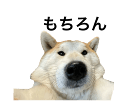 662409675