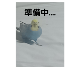 662432449