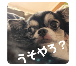 662433518