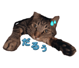 662484087