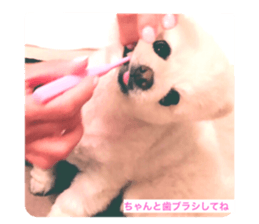 662484451