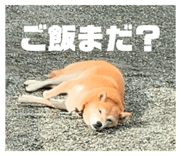 662493168
