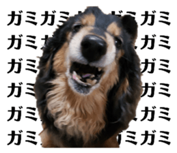 662497466