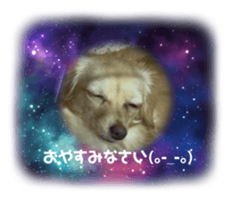 662500159