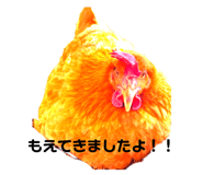 662515084