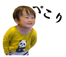 662515544