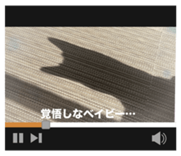 662519739