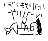 662530381
