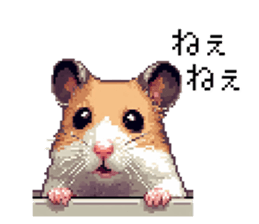 662536556